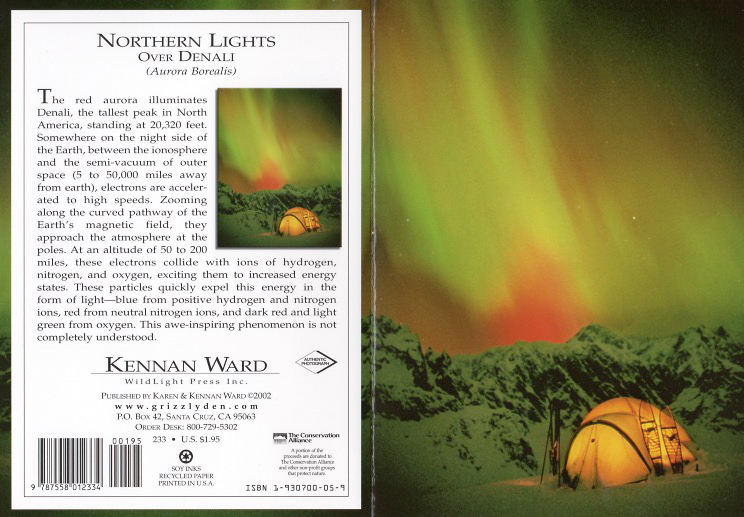 233 Northern Lights Denali