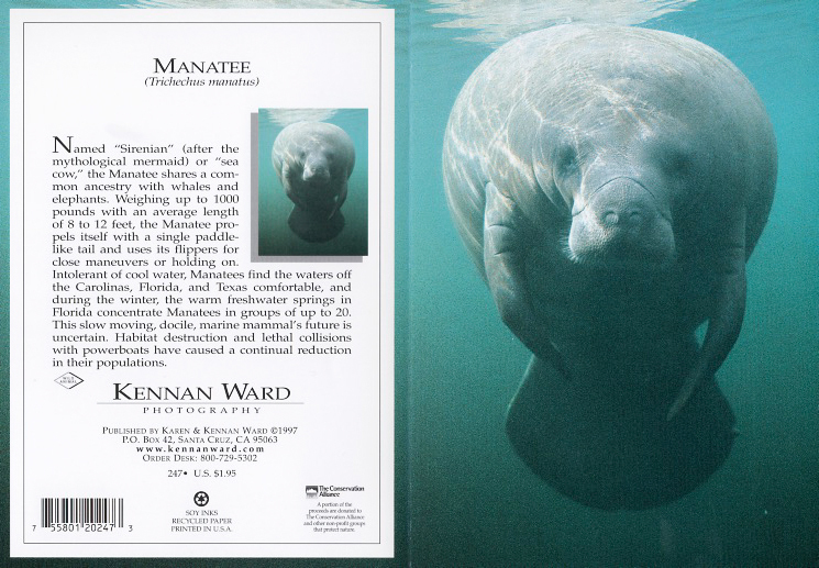 247 Manatee