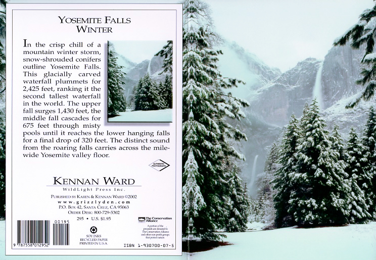 295 Yosemite Falss Winter