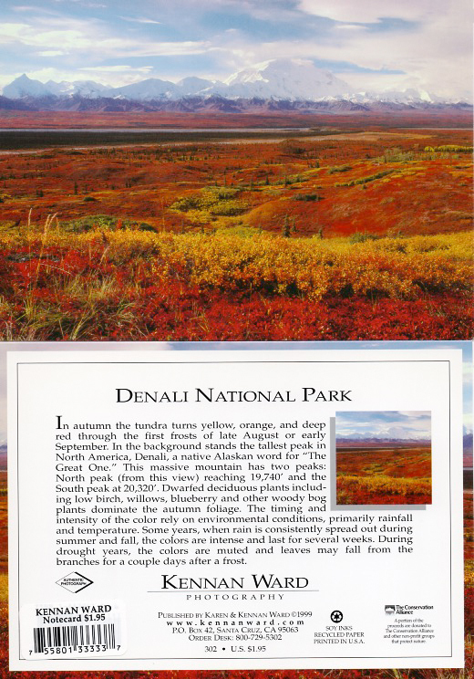 302 Denali Fall Colors